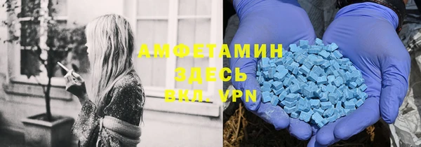 индика Новозыбков