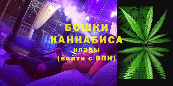 шишки Алексеевка