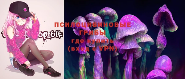шишки Алексеевка